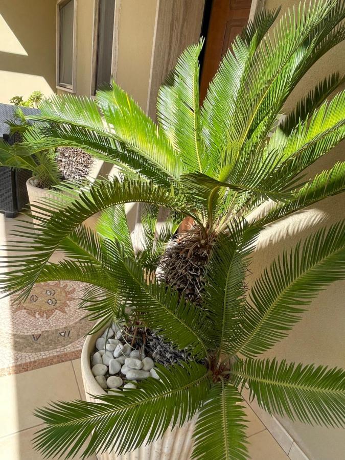 فيلا Ancora Del Salento ليتشي المظهر الخارجي الصورة